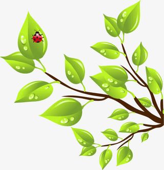 春天踏青树叶瓢虫免抠
