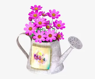 洒水壶中的鲜花免抠