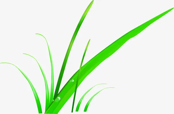 绿色卡通草地露珠设计免抠