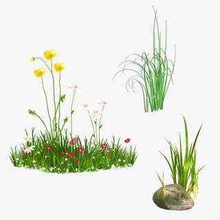 草地草坪绿草免抠手绘/卡通卡通元素