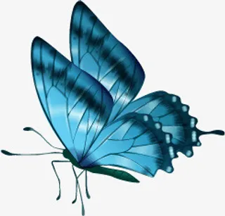 冰蓝色蝴蝶免抠