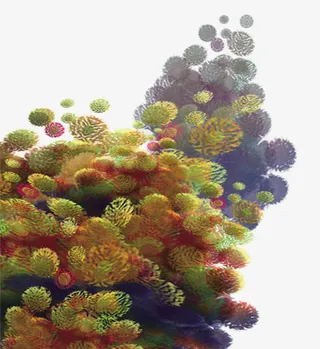 海底世界素材免抠