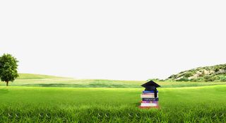 草地山坡免抠素材免抠