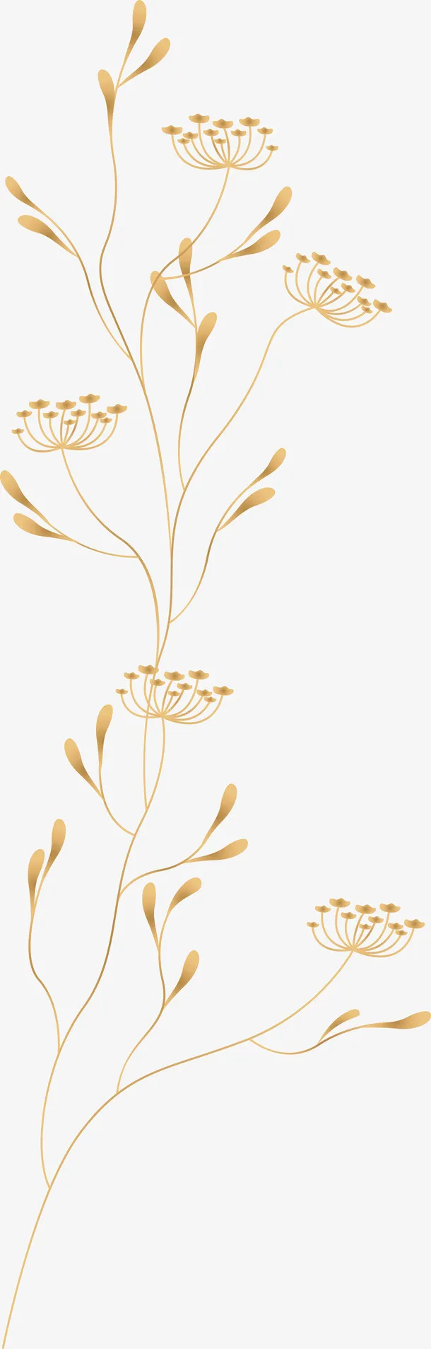 精致花卉图案素材免抠