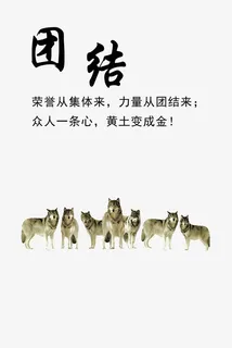 团队的力量免抠