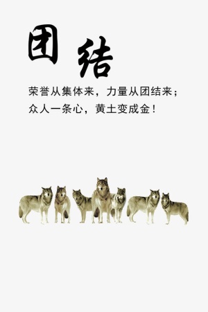 团队的力量免抠