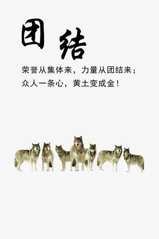 团队的力量免抠