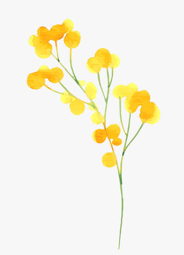 水彩绘黄色花朵树枝免抠