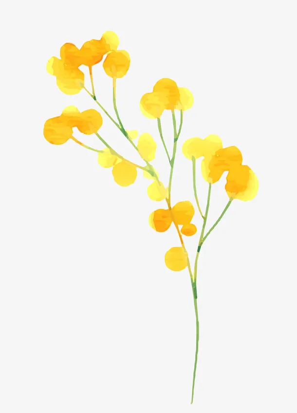 水彩绘黄色花朵树枝免抠