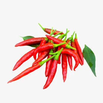 新鲜辣椒免抠
