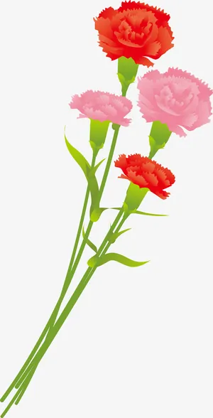 彩色手绘的康乃馨免抠