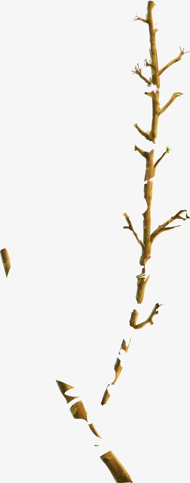 绘画树枝卡片设计免抠