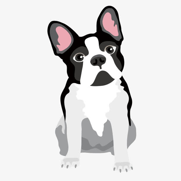 憨厚老实的斗牛犬免抠