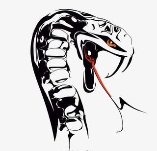 吐着舌头大黑蛇免抠