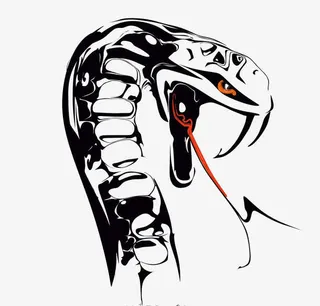 吐着舌头大黑蛇免抠