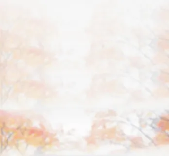 粉色樱花树免抠 粉色樱花树免抠