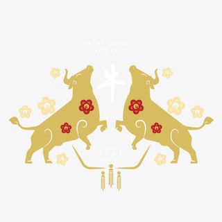 牛年行大运免抠