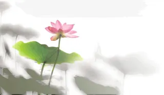 雾霾中的荷花免抠