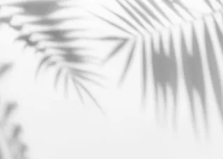 树叶的影子效果免抠