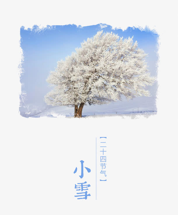 小雪免抠