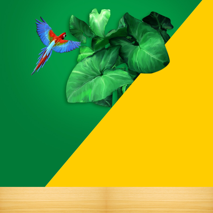 撞色绿植飞鸟油漆家装PSD分层主图背景高清