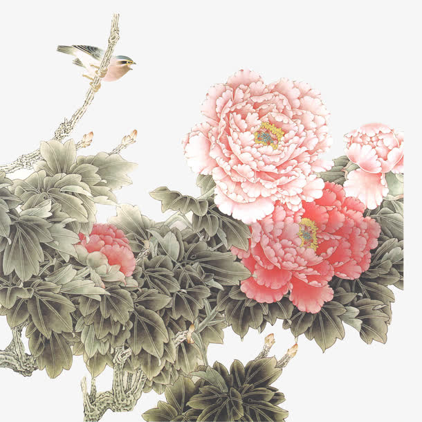 花鸟图免抠