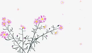 手绘矢量花纹免抠