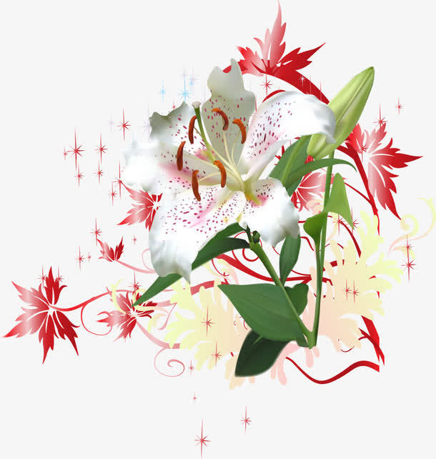 百合花和枫叶底纹免抠