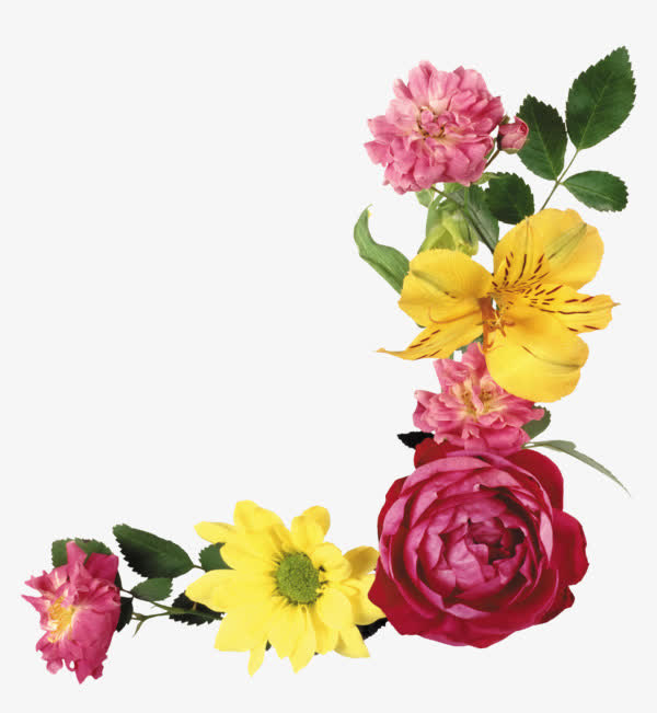 花朵边框免抠