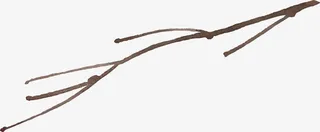 水彩树枝免抠