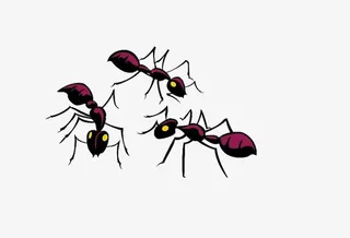 免抠素材手绘蚂蚁免抠