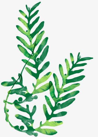 海底植物渐变绿色海藻免抠