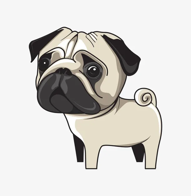 德国斗牛犬PNG免抠