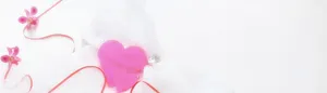 婚庆 鲜花 白纱 浪漫 梦幻 喜庆 丝带高清