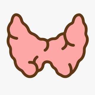 红色手绘线稿甲状腺元素免抠