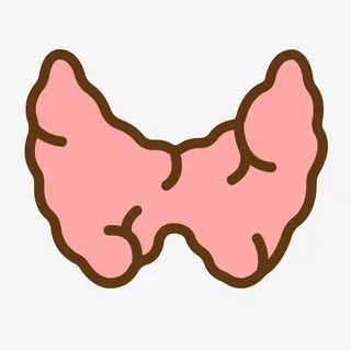 红色手绘线稿甲状腺元素免抠