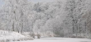 寒冬美丽雪高清