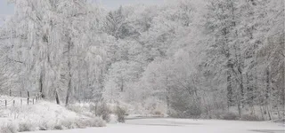 寒冬美丽雪高清