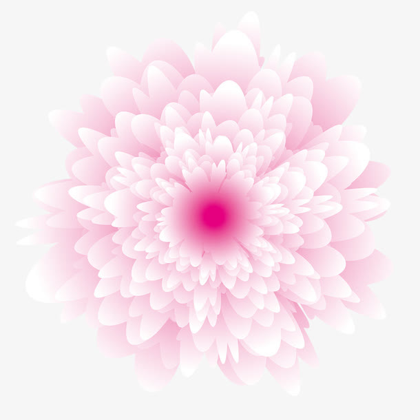 粉色花朵免抠