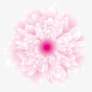 粉色花朵免抠