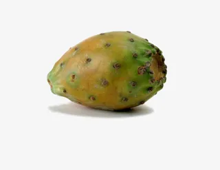 北美洲仙人掌果素材图片免抠