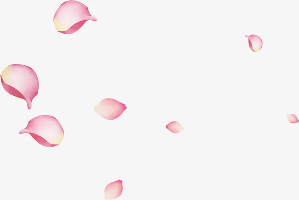 粉色漂浮玫瑰花瓣免抠