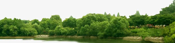山林免抠