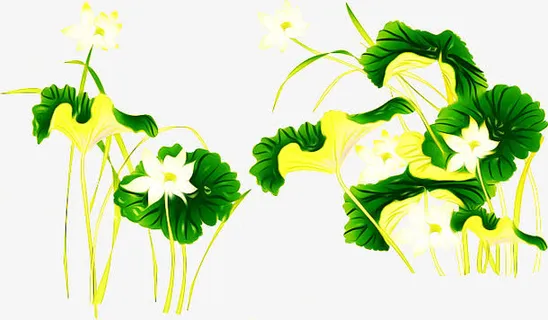 荷花免抠