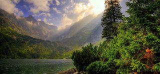 森林大山海报背景素材高清