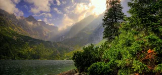 森林大山海报背景素材高清