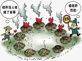 焚烧秸秆罚款免抠