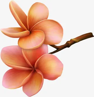 手绘鲜花春季素材16免抠