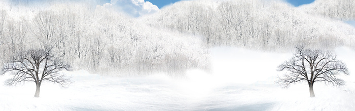 冬天 雪地 背景图高清