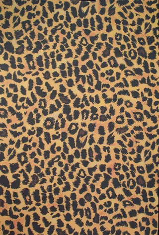 性感的豹纹底图背景